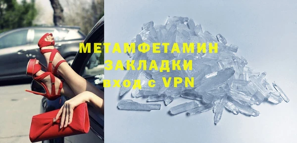 прущие грибы Приозерск