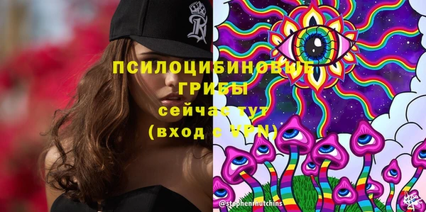 винт Алексеевка