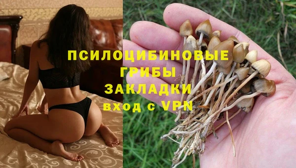 винт Алексеевка