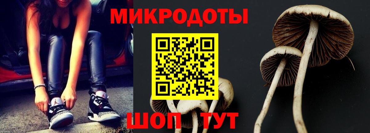 Псилоцибиновые грибы Psilocybine cubensis  Вход с VPN  Галлюциногенные грибы ЛСД  как найти закладки  Саки 